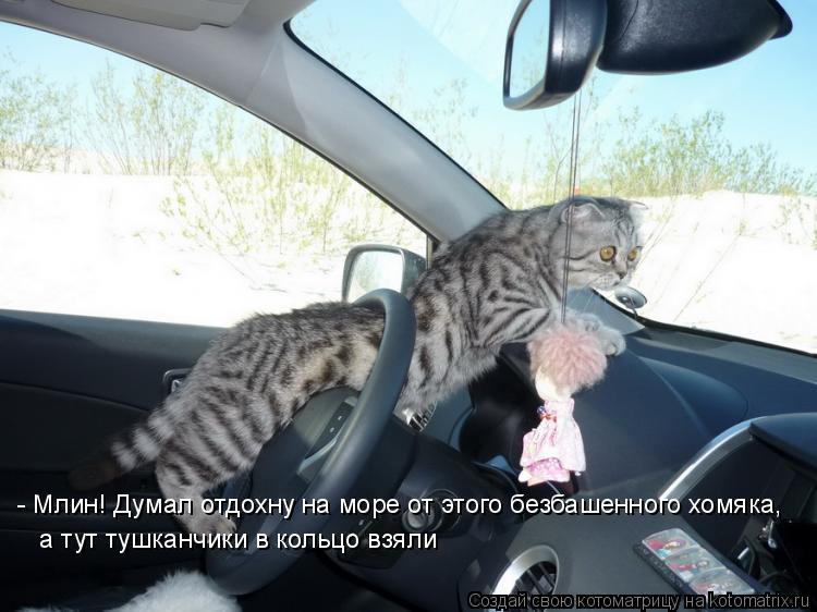 Котоматрица: - Млин! Думал отдохну на море от этого безбашенного хомяка,   а тут тушканчики в кольцо взяли