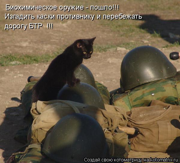 Биохимическое оружие - пошло!!! Изгадить каски противнику и перебежать дорогу БТР !!!... Котоматрица: Биохимическое оружие - пошло!!! Изгадить каски противнику и перебежать дорогу БТР !!!