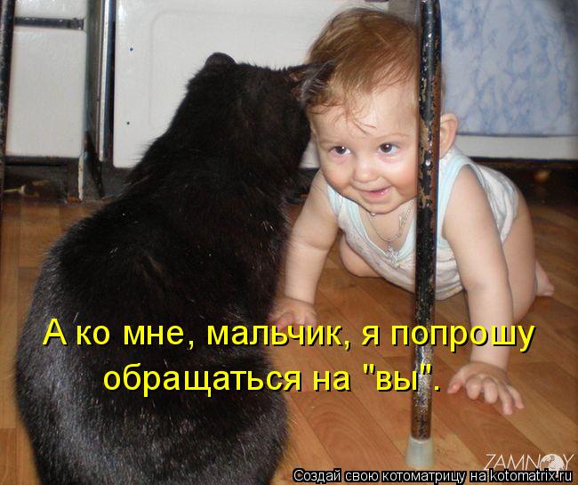 А ко мне, мальчик, я попрошу обращаться на "вы".... Котоматрица: А ко мне, мальчик, я попрошу обращаться на "вы".