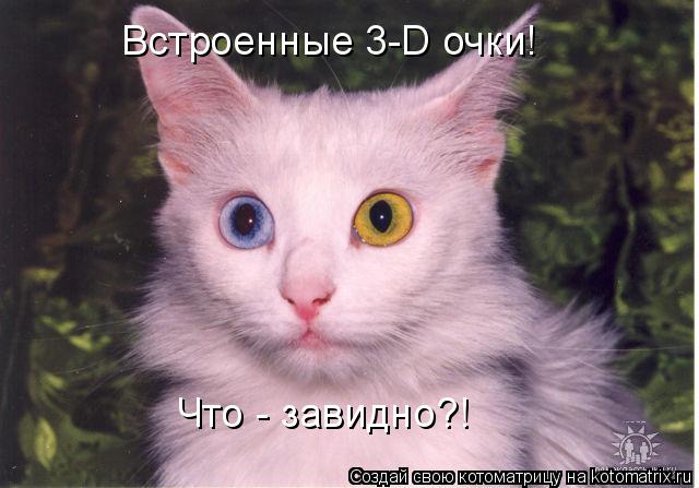 Что - завидно?! Встроенные 3-D очки!... Котоматрица: Что - завидно?! Встроенные 3-D очки!