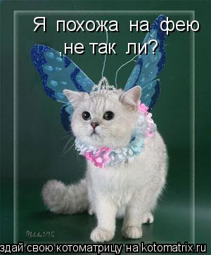 Я похожа на фею ,не так ли?... Котоматрица: Я похожа на фею ,не так ли?
