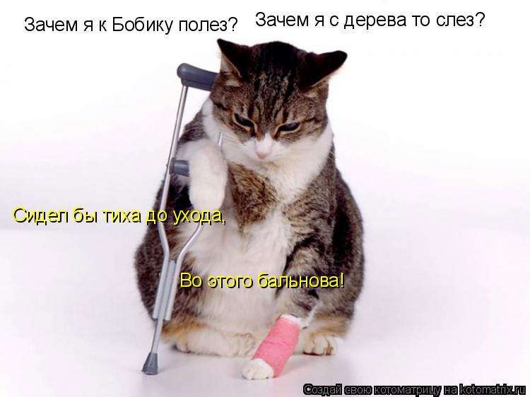 Зачем я к Бобику полез? Зачем я с дерева то слез? Сидел бы тиха до ухода, Во этого бальнова!... Котоматрица: Зачем я к Бобику полез? Зачем я с дерева то слез? Сидел бы тиха до ухода, Во этого бальнова!