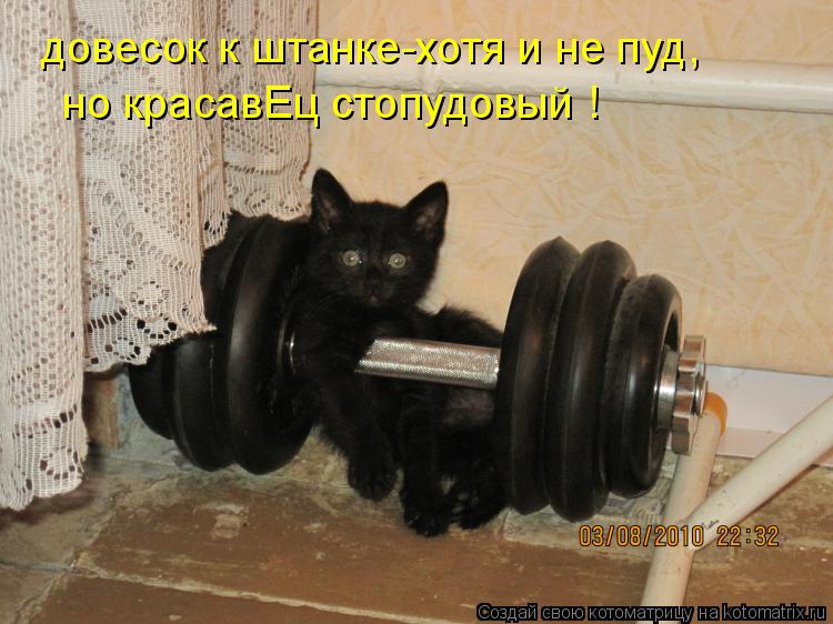 довесок к штанке-хотя и не пуд, но красавЕц стопудовый !... Котоматрица: довесок к штанке-хотя и не пуд, но красавЕц стопудовый !