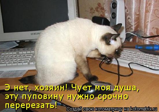 Э нет, хозяин! Чует моя душа, эту пуповину нужно срочно перерезать!... Котоматрица: Э нет, хозяин! Чует моя душа, эту пуповину нужно срочно перерезать!