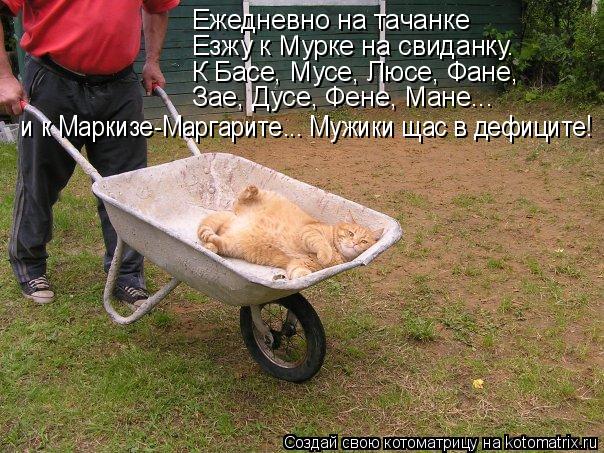 Ежедневно на тачанке Езжу к Мурке на свиданку. К Басе, Мусе, Люсе, Фане, Зае, Дусе, Фене, Мане... и к... Котоматрица: Ежедневно на тачанке Езжу к Мурке на свиданку. К Басе, Мусе, Люсе, Фане, Зае, Дусе, Фене, Мане... и к Маркизе-Маргарите... Мужики щас в дефиците!