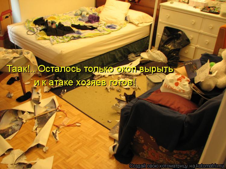 Таак!.. Осталось только окоп вырыть и к атаке хозяев готов!... Котоматрица: Таак!.. Осталось только окоп вырыть и к атаке хозяев готов!