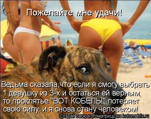 Котоматрица: Пожелайте мне удачи! Ведьма сказала,что если я смогу выбрать 1 девушку из 3-х и остаться ей верным, то проклятье "ВОТ КОБЕЛЬ!" потеряет  свою си