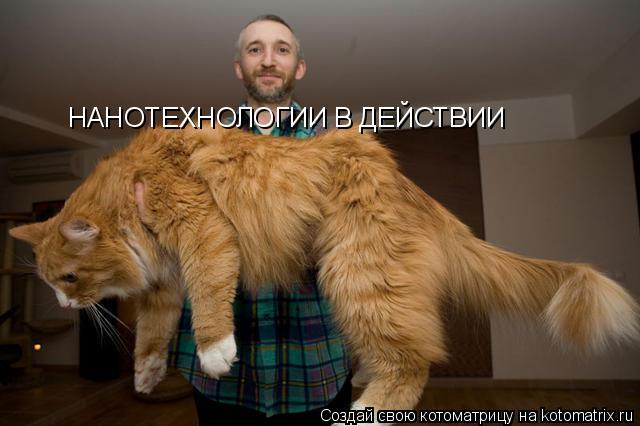 НАНОТЕХНОЛОГИИ В ДЕЙСТВИИ... Котоматрица: НАНОТЕХНОЛОГИИ В ДЕЙСТВИИ