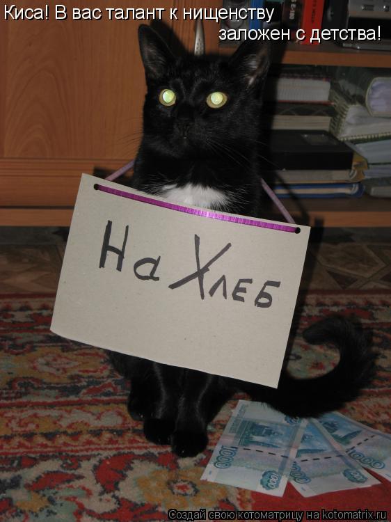 Киса! В вас талант к нищенству заложен с детства!... Котоматрица: Киса! В вас талант к нищенству заложен с детства!