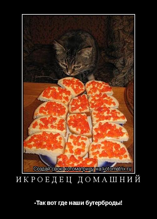 Икроедец домашний -Так вот где наши бутерброды!... Котоматрица: Икроедец домашний -Так вот где наши бутерброды!