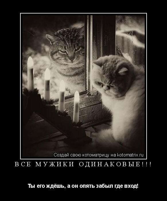 Котоматрица: Все мужики одинаковые!!! Ты его ждёшь, а он опять забыл где вход!