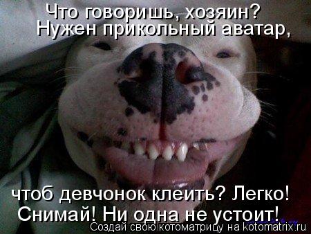 Что говоришь, хозяин? Нужен прикольный аватар, чтоб девчонок клеить? Легко! Снимай! Ни одна не устои... Котоматрица: Что говоришь, хозяин? Нужен прикольный аватар, чтоб девчонок клеить? Легко! Снимай! Ни одна не устоит!