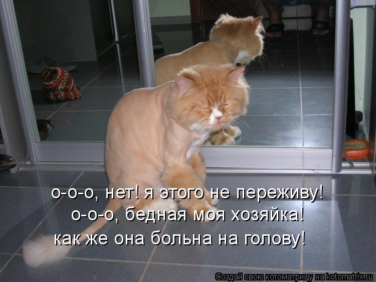 о-o-o, нет! я этого не переживу! о-o-o, бедная моя хозяйка! как же она больна на голову!... Котоматрица: о-o-o, нет! я этого не переживу! о-o-o, бедная моя хозяйка! как же она больна на голову!