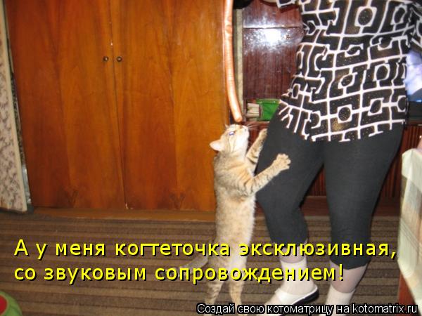 Котоматрица: А у меня когтеточка эксклюзивная, со звуковым сопровождением!