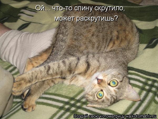 Ой... что-то спину скрутило, может раскрутишь?... Котоматрица: Ой... что-то спину скрутило, может раскрутишь?