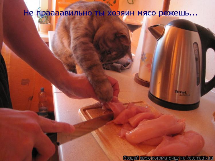 Не праааавильно ты хозяин мясо режешь...... Котоматрица: Не праааавильно ты хозяин мясо режешь...