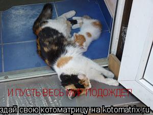 И ПУСТЬ ВЕСЬ МИР ПОДОЖДЕТ!... Котоматрица: И ПУСТЬ ВЕСЬ МИР ПОДОЖДЕТ!