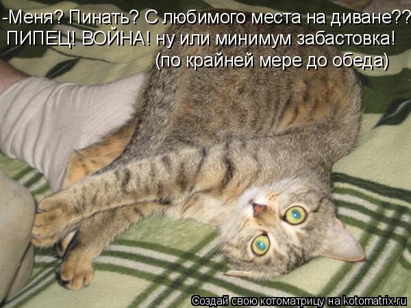-Меня? Пинать? С любимого места на диване??? ПИПЕЦ! ВОЙНА! ну или минимум забастовка! (по крайней мер... Котоматрица: -Меня? Пинать? С любимого места на диване??? ПИПЕЦ! ВОЙНА! ну или минимум забастовка! (по крайней мере до обеда)
