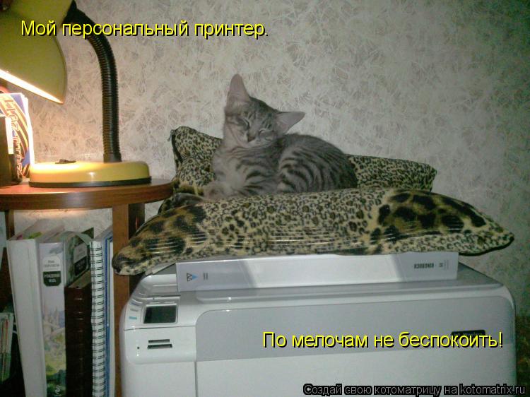 Мой персональный принтер. По мелочам не беспокоить!... Котоматрица: Мой персональный принтер. По мелочам не беспокоить!