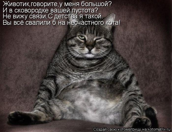 И в сковородке вашей пустота? Не вижу связи.С детства я такой. Вы всё свалили б на несчастного кота! ... Котоматрица: И в сковородке вашей пустота? Не вижу связи.С детства я такой. Вы всё свалили б на несчастного кота! Животик,говорите,у меня большой?