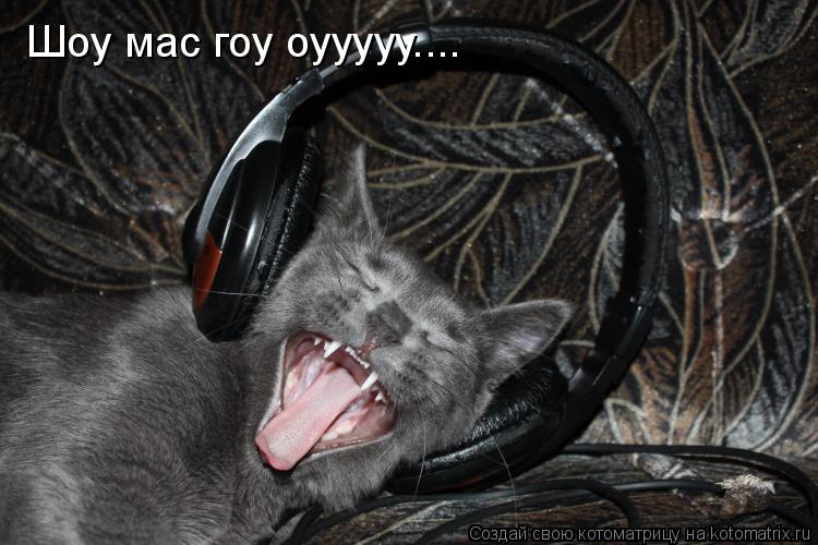Шоу мас гоу оууууу....... Котоматрица: Шоу мас гоу оууууу....