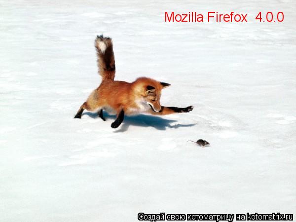 Mozilla Firefox 4.0.0... Котоматрица: Mozilla Firefox 4.0.0