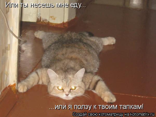 Котоматрица: Или ты несешь мне еду...  ...или я ползу к твоим тапкам!