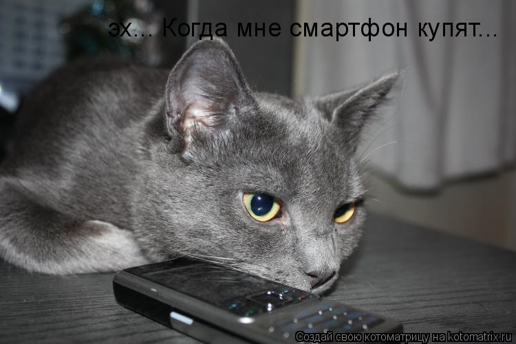 Котоматрица: эх... Когда мне смартфон купят...