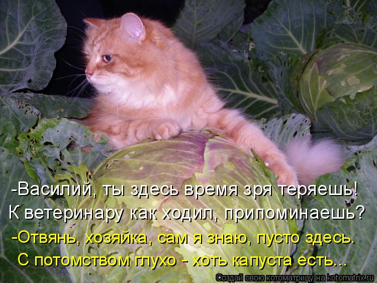 -Василий, ты здесь время зря теряешь! К ветеринару как ходил, припоминаешь? -Отвянь, хозяйка, сам я з... Котоматрица: -Василий, ты здесь время зря теряешь! К ветеринару как ходил, припоминаешь? -Отвянь, хозяйка, сам я знаю, пусто здесь. С потомством глухо - хоть