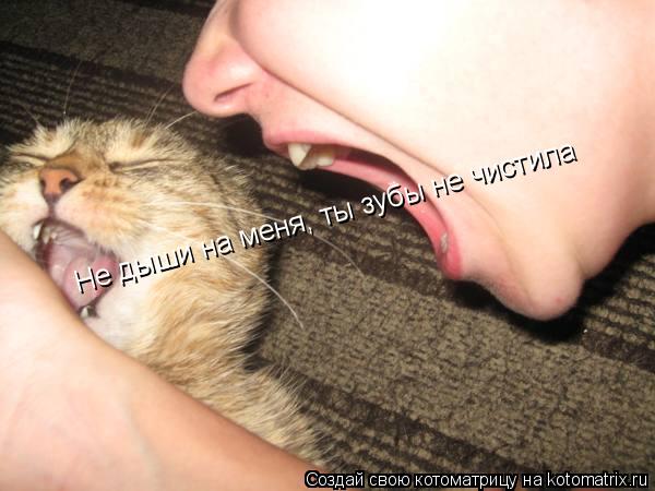 Котоматрица: Не дыши на меня, ты зубы не чистила