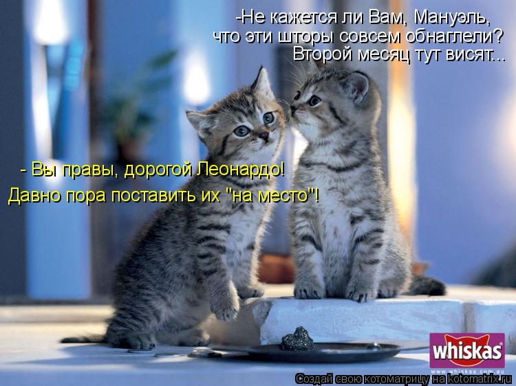 -Не кажется ли Вам, Мануэль, что эти шторы совсем обнаглели? Второй месяц тут висят... Давно пора п... Котоматрица: -Не кажется ли Вам, Мануэль, что эти шторы совсем обнаглели? Второй месяц тут висят... Давно пора поставить их "на место"! - Вы правы, дорогой Л