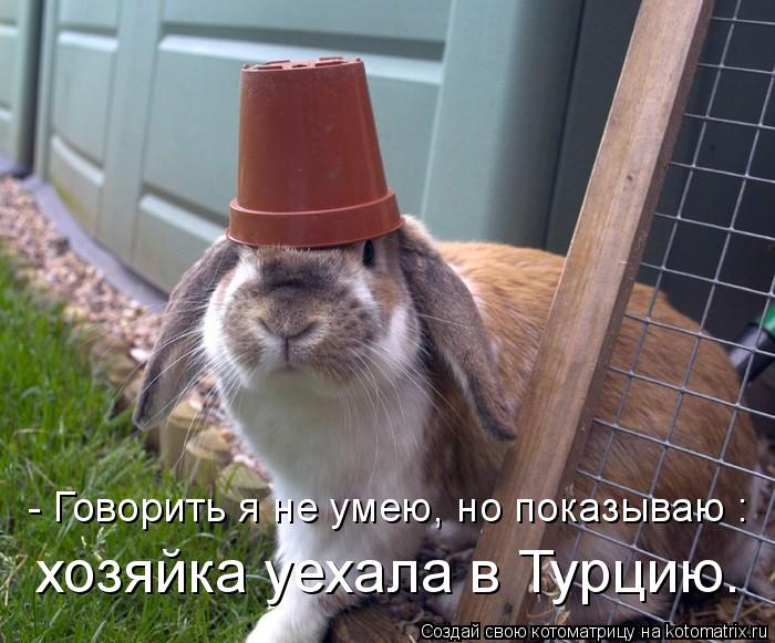 хозяйка уехала в Турцию. - Говорить я не умею, но показываю :... Котоматрица: хозяйка уехала в Турцию. - Говорить я не умею, но показываю :