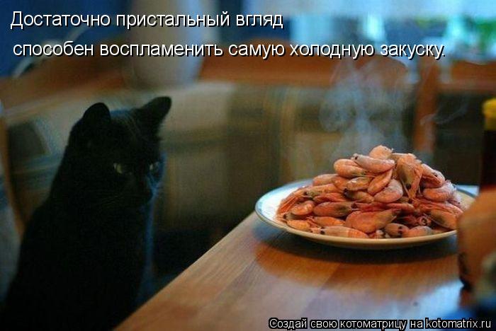 Котоматрица: способен воспламенить самую холодную закуску. Достаточно пристальный вгляд