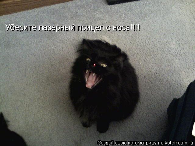 Котоматрица: Уберите лазерный прицел с носа!!!!