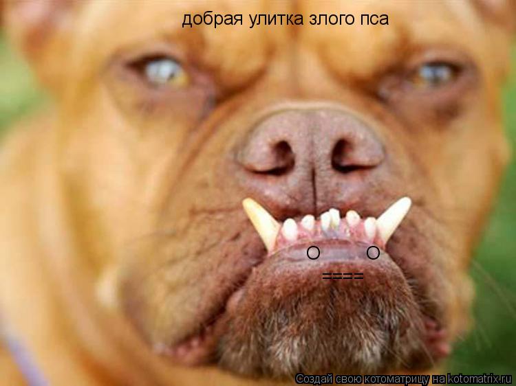 O O ==== добрая улитка злого пса... Котоматрица: O O ==== добрая улитка злого пса