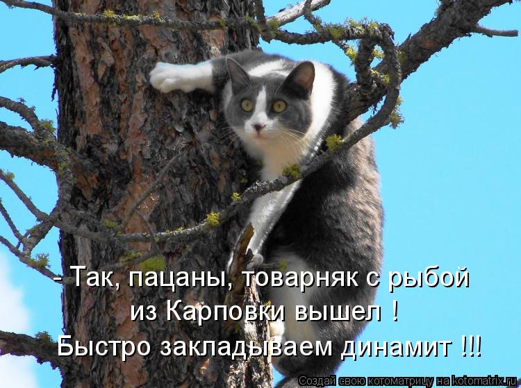 - Так, пацаны, товарняк с рыбой из Карповки вышел ! Быстро закладываем динамит !!!... Котоматрица: - Так, пацаны, товарняк с рыбой из Карповки вышел ! Быстро закладываем динамит !!!
