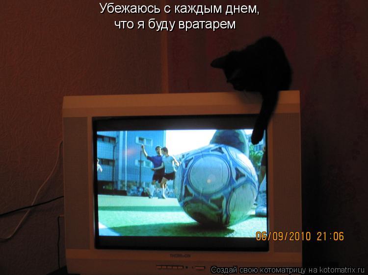 Убежаюсь с каждым днем, что я буду вратарем... Котоматрица: Убежаюсь с каждым днем, что я буду вратарем