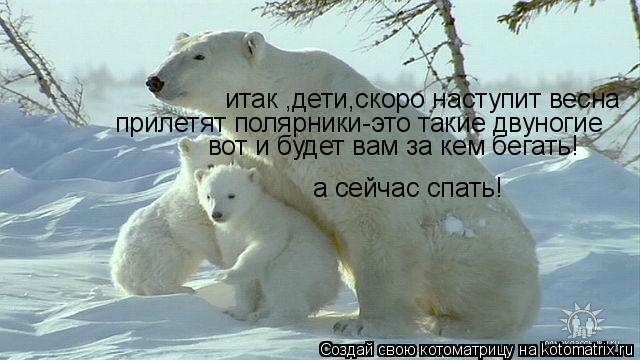 итак ,дети,скоро наступит весна прилетят полярники-это такие двуногие вот и будет вам за кем бегать! ... Котоматрица: итак ,дети,скоро наступит весна прилетят полярники-это такие двуногие вот и будет вам за кем бегать! а сейчас спать!