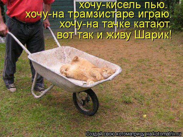 хочу-кисель пью. хочу-на трамзистаре играю. хочу-на тачке катают. вот так и живу Шарик!... Котоматрица: хочу-кисель пью. хочу-на трамзистаре играю. хочу-на тачке катают. вот так и живу Шарик!