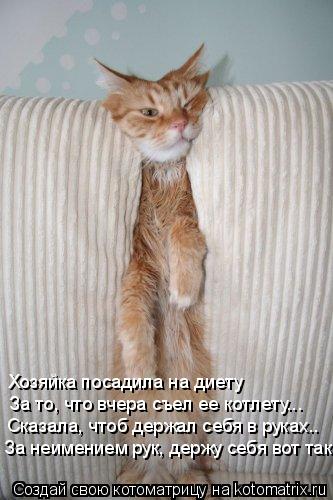Хозяйка посадила на диету За то, что вчера съел ее котлету... Сказала, чтоб держал себя в руках.. За ... Котоматрица: Хозяйка посадила на диету За то, что вчера съел ее котлету... Сказала, чтоб держал себя в руках.. За неимением рук, держу себя вот так!
