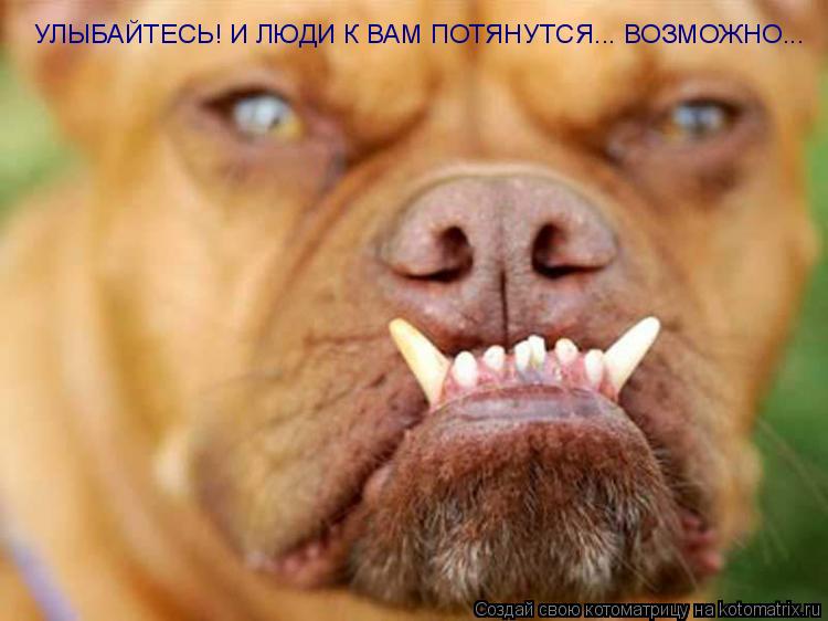 УЛЫБАЙТЕСЬ! И ЛЮДИ К ВАМ ПОТЯНУТСЯ... ВОЗМОЖНО...... Котоматрица: УЛЫБАЙТЕСЬ! И ЛЮДИ К ВАМ ПОТЯНУТСЯ... ВОЗМОЖНО...