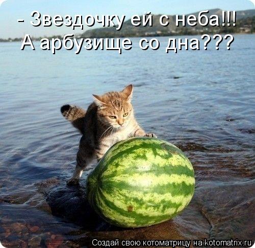 - Звездочку ей с неба!!! А арбузище со дна???... Котоматрица: - Звездочку ей с неба!!! А арбузище со дна???