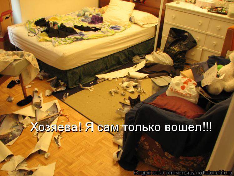 Хозяева! Я сам только вошел!!!... Котоматрица: Хозяева! Я сам только вошел!!!