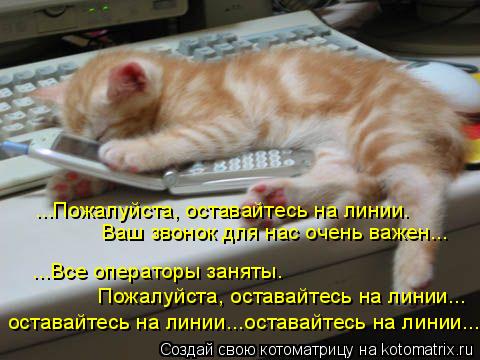 ...Пожалуйста, оставайтесь на линии. Ваш звонок для нас очень важен... ...Все операторы заняты. Пожал... Котоматрица: ...Пожалуйста, оставайтесь на линии. Ваш звонок для нас очень важен... ...Все операторы заняты. Пожалуйста, оставайтесь на линии... оставайтесь