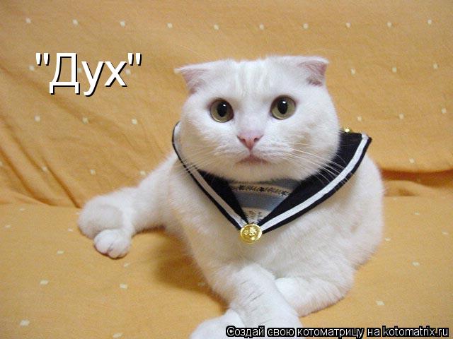 "Дух"... Котоматрица: "Дух"