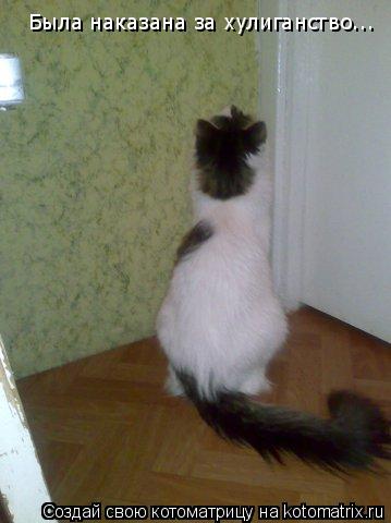 Была наказана за хулиганство...... Котоматрица: Была наказана за хулиганство...