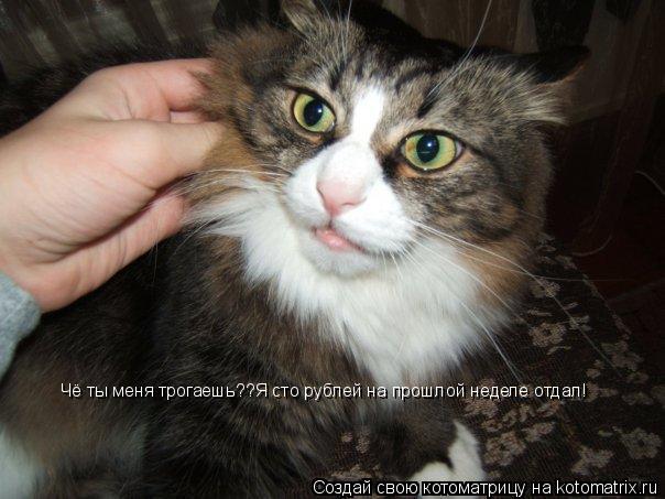 Котоматрица: Чё ты меня трогаешь??Я сто рублей на прошлой неделе отдал!