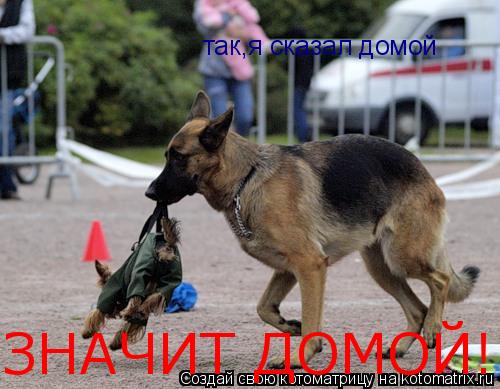так,я сказал домой ЗНАЧИТ ДОМОЙ!... Котоматрица: так,я сказал домой ЗНАЧИТ ДОМОЙ!