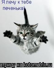 Котоматрица: Я лечу к тебе печенька!