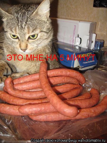 ЭТО МНЕ НА 5 МИНУТ... Котоматрица: ЭТО МНЕ НА 5 МИНУТ